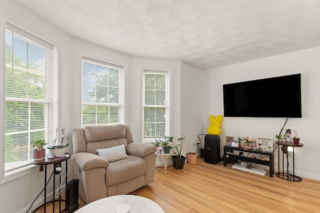 15 N St Unit 2, Haverhill, MA 01830 - living room featuring wood finished floors