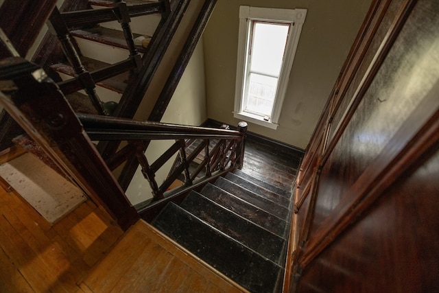 stairway with wood-type flooring