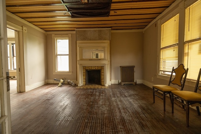 living area with plenty of natural light, hardwood / wood-style floors, radiator heating unit, and a tile fireplace