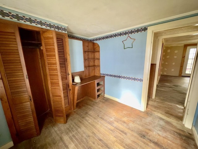 53 Morningside Path, Weymouth, MA 02189 - walk in closet featuring wood finished floors