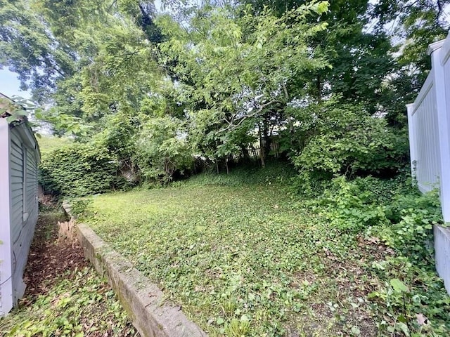 53 Morningside Path, Weymouth, MA 02189 - view of green lawn