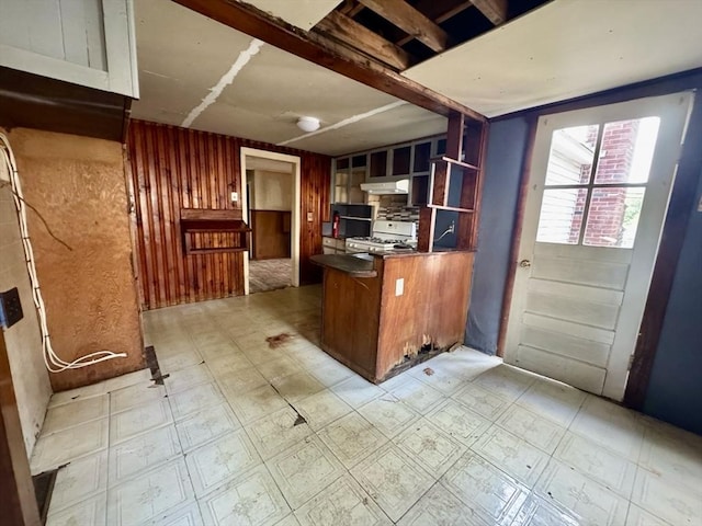 53 Morningside Path, Weymouth, MA 02189 - kitchen with under cabinet range hood, a peninsula, white gas range, light flooring, and open shelves