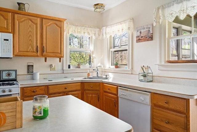 kitchen featuring brown cabinetry, white appliances, light countertops, and a sink