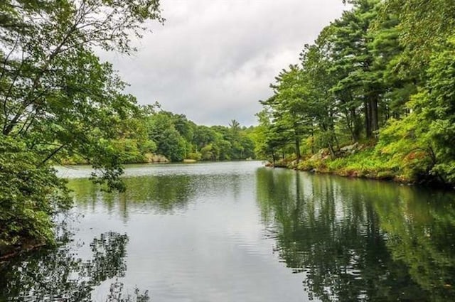 water view featuring a view of trees