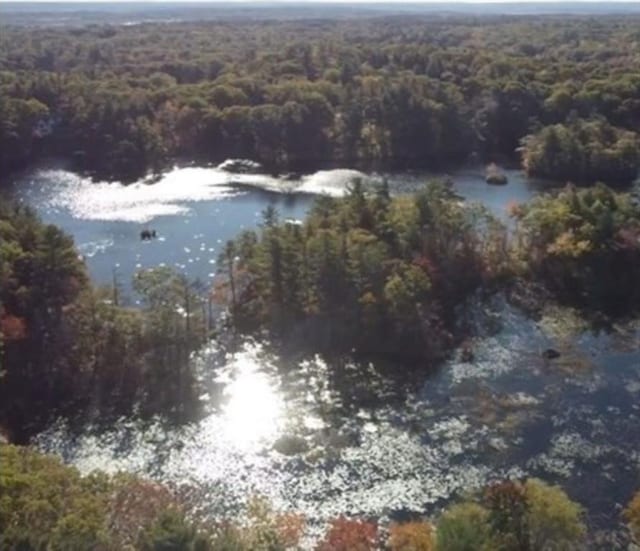 aerial view with a forest view and a water view