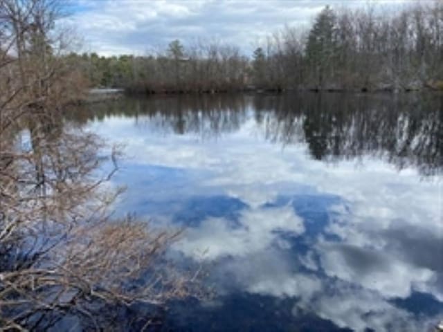 property view of water with a view of trees