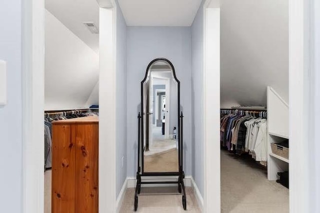 view of walk in closet