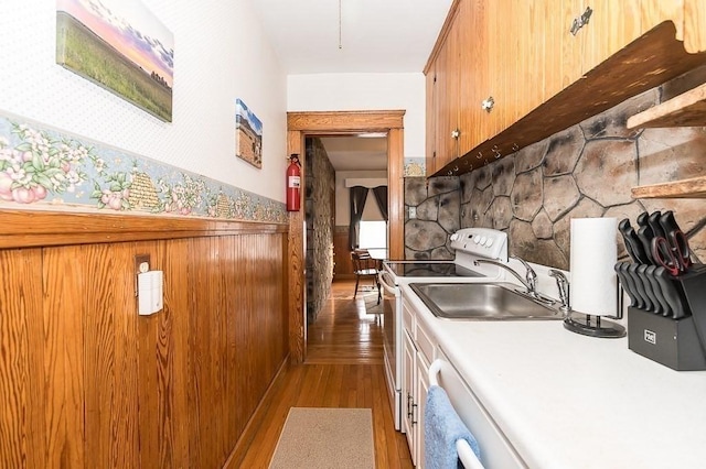 kitchen featuring dishwashing machine, white electric range oven, dark hardwood / wood-style flooring, and sink