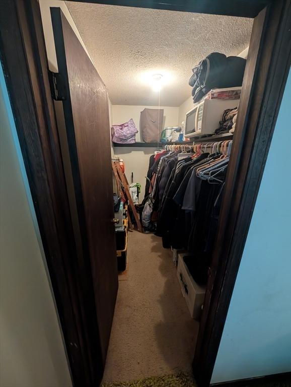 walk in closet featuring carpet