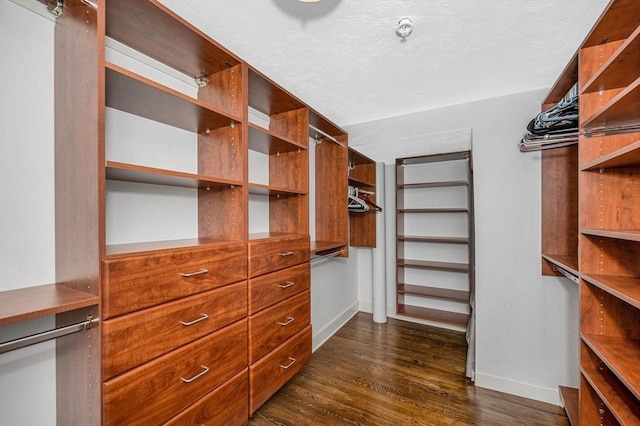 walk in closet featuring dark wood-type flooring