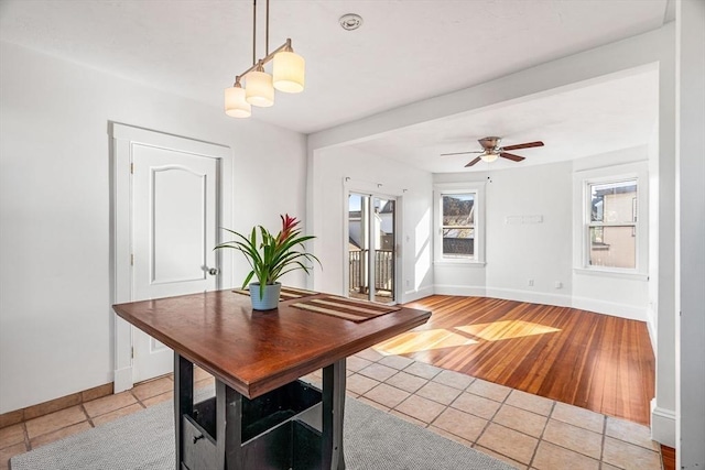 dining area featuring ceiling fan and light wood-type flooring