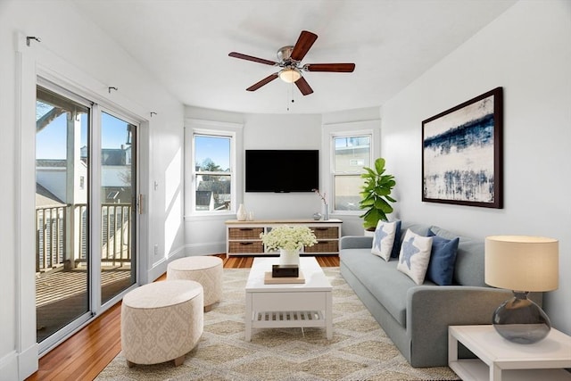 living room featuring hardwood / wood-style floors, ceiling fan, and a wealth of natural light