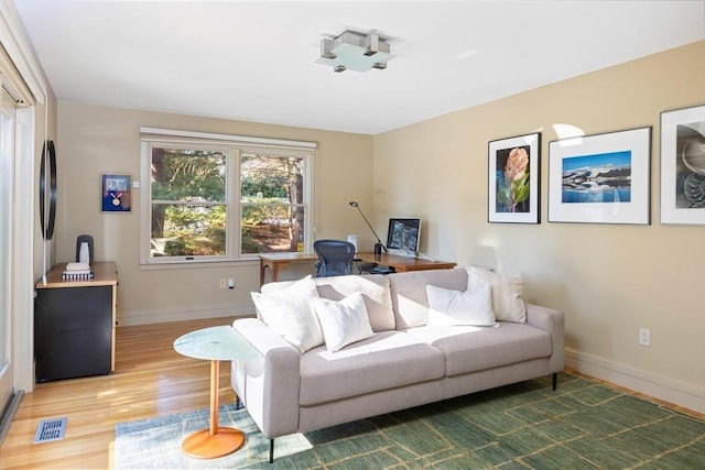 living room with wood-type flooring