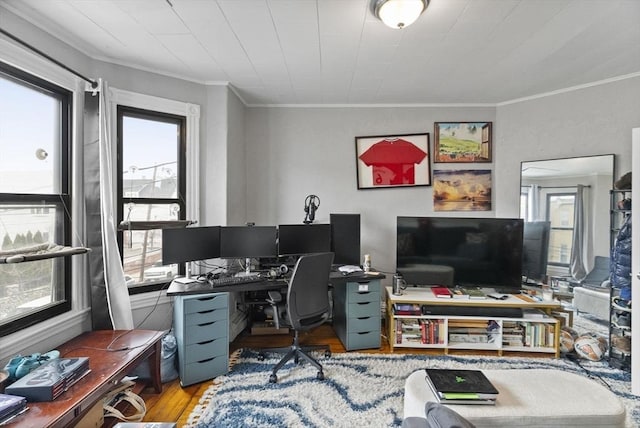 office space featuring crown molding and wood finished floors