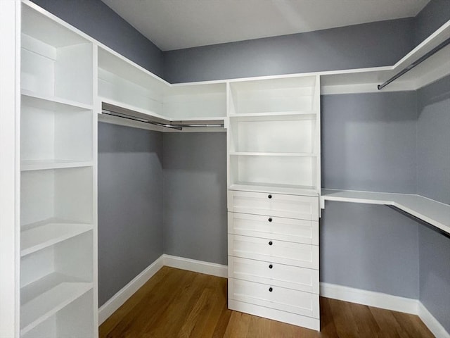 walk in closet featuring wood finished floors