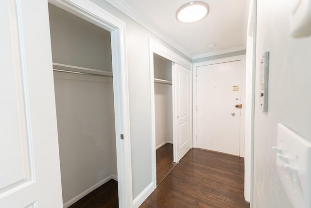 hallway with dark hardwood / wood-style flooring and crown molding