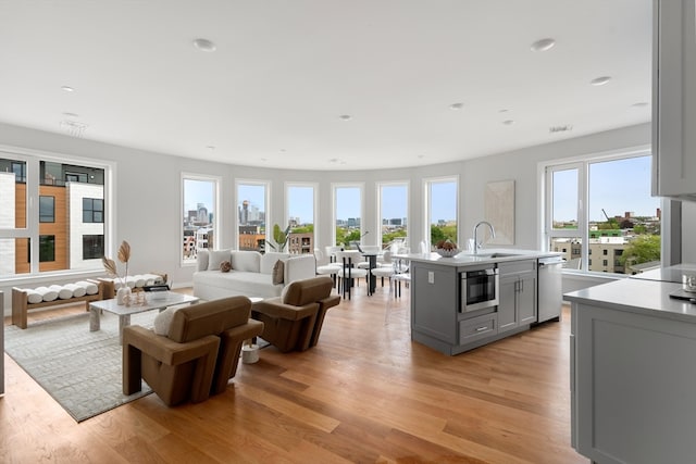 living room with light wood-type flooring and sink