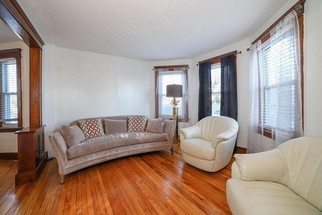 living room featuring a healthy amount of sunlight and light hardwood / wood-style floors