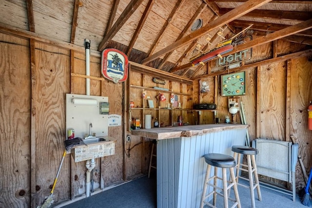 10 Primrose Rd, Billerica, MA 01821 - indoor dry bar featuring lofted ceiling, wood walls, and carpet floors