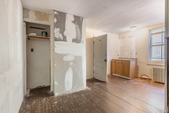 spare room featuring radiator, dark hardwood / wood-style flooring, and sink