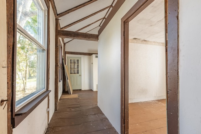 corridor featuring lofted ceiling and a wealth of natural light