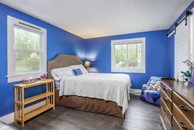 bedroom featuring a barn door and wood finished floors
