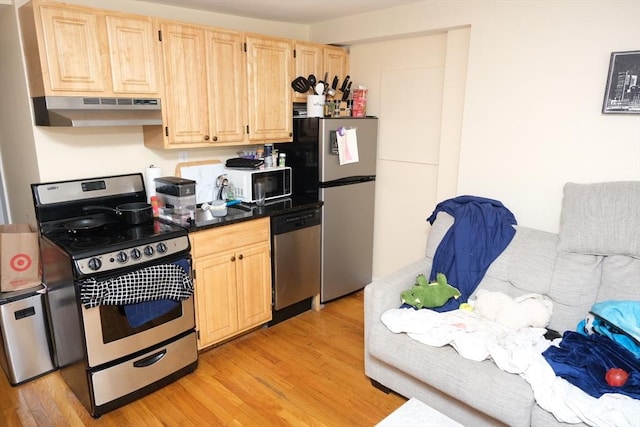 287 W 5th St, Boston, MA 02127 - kitchen with stainless steel appliances, light brown cabinets, under cabinet range hood, and light wood finished floors