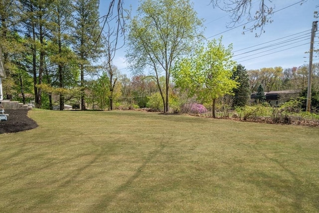 view of yard