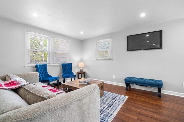 living room with baseboards, wood finished floors, and a wealth of natural light
