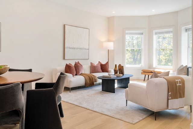 living room with light wood-type flooring