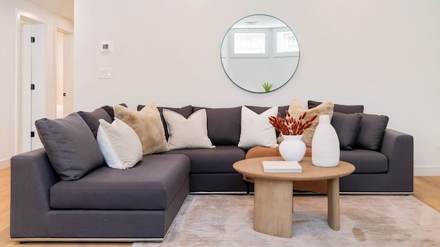 living room featuring light hardwood / wood-style floors