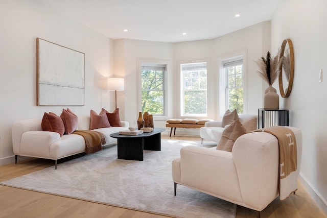 living room with light hardwood / wood-style flooring