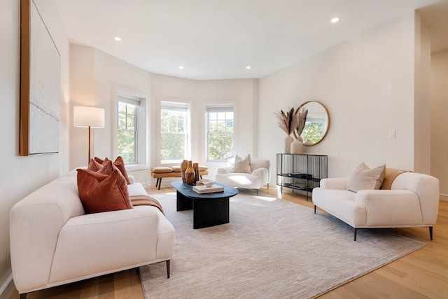 living room with light hardwood / wood-style flooring