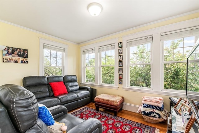 159 White St Unit 159, Belmont, MA 02478 - living room featuring wood finished floors, ornamental molding, and baseboards