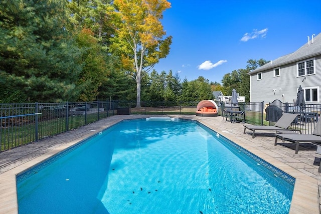 view of pool with a patio