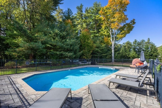 view of pool with a patio area