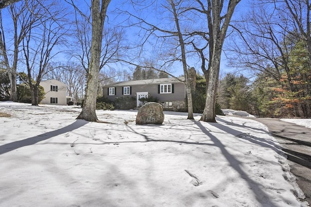 view of front of property with a chimney