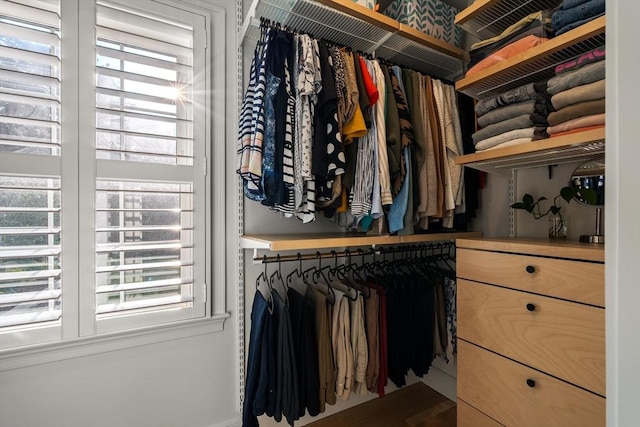 173 Liberty St, Braintree, MA 02184 - view of walk in closet