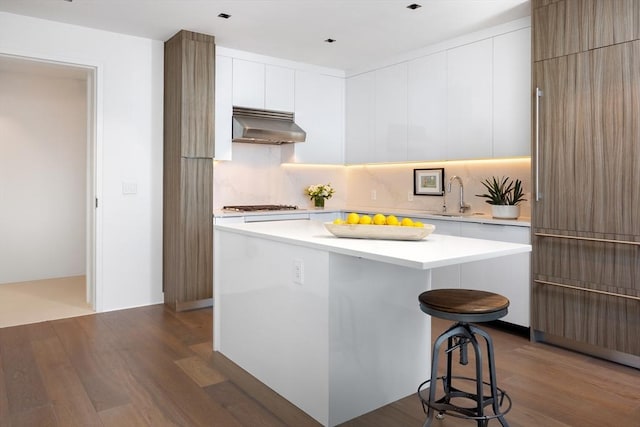 kitchen with under cabinet range hood, dark wood finished floors, modern cabinets, and a sink