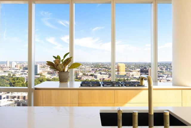 kitchen with a city view and a sink