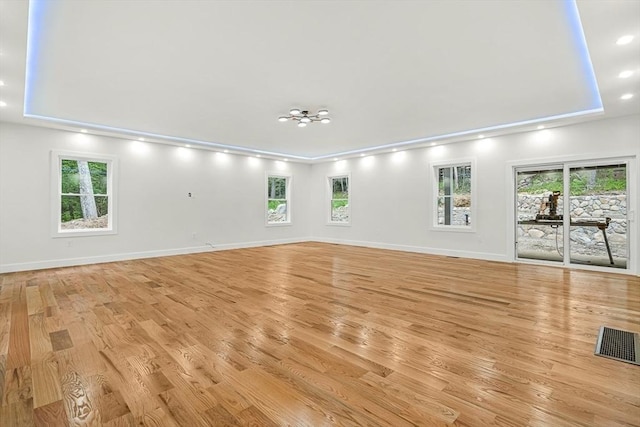 12 Martin St, Carlisle, MA 01741 - spare room with light wood-style flooring, a raised ceiling, healthy amount of natural light, and recessed lighting