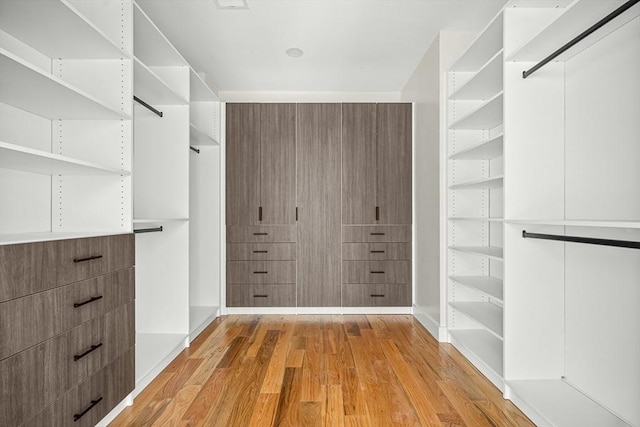 12 Martin St, Carlisle, MA 01741 - spacious closet with light wood-style flooring