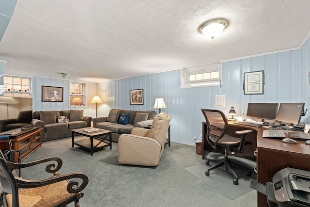 16 Bailey Ln, Dedham, MA 02026 - office area with a textured ceiling and carpet floors