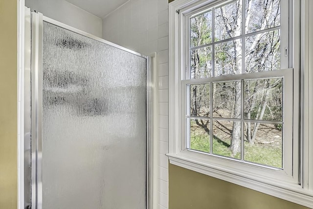56 Ireta Rd, Shrewsbury, MA 01545 - bathroom featuring a shower stall