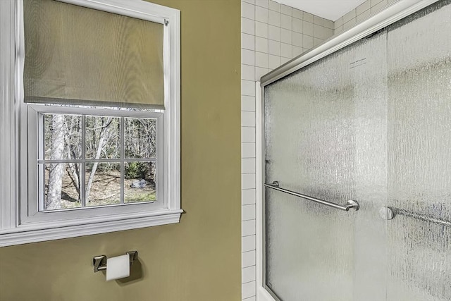 56 Ireta Rd, Shrewsbury, MA 01545 - bathroom featuring a shower stall
