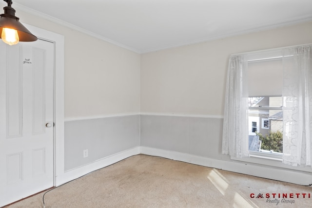 spare room with ornamental molding and carpet flooring