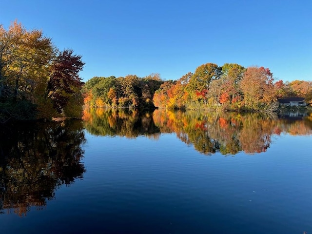 property view of water with a view of trees