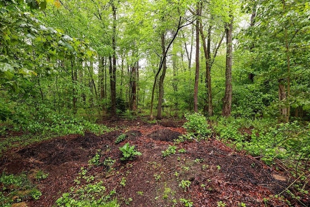 20 Amherst St, Grafton, MA 01536 - view of woods