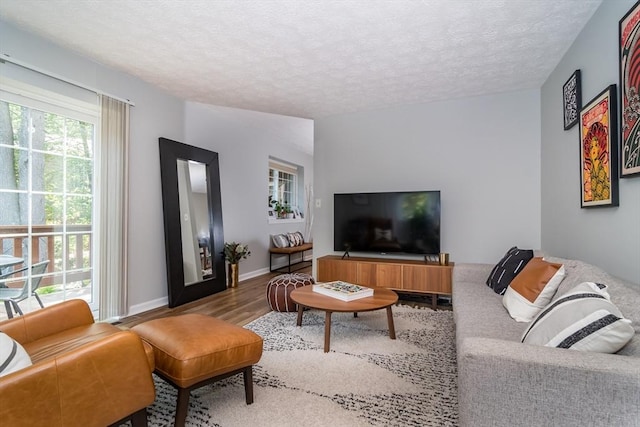 3 Treasure Way Unit 3, Ashland, MA 01721 - living area featuring wood finished floors and a textured ceiling