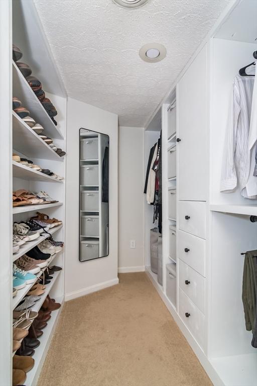 3 Treasure Way Unit 3, Ashland, MA 01721 - spacious closet with light colored carpet
